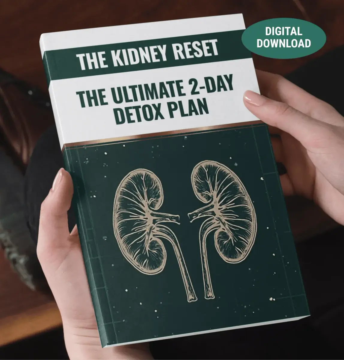 The Kidney Reset: Ultimate 2-Day Detox Plan digital ebook guide for natural kidney health.