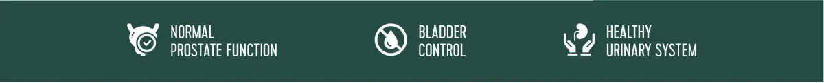 ViriFlow benefits icons for prostate function, bladder control, and urinary health.